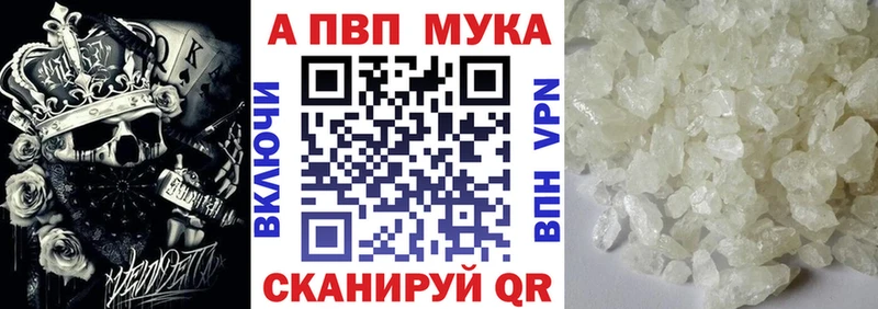A-PVP СК КРИС  Бобров 