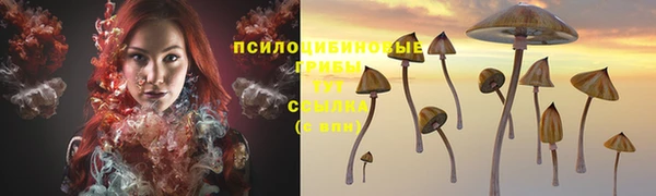 mdpv Гусев