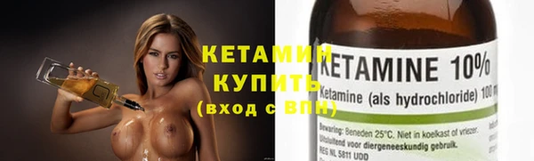 шишки Белокуриха