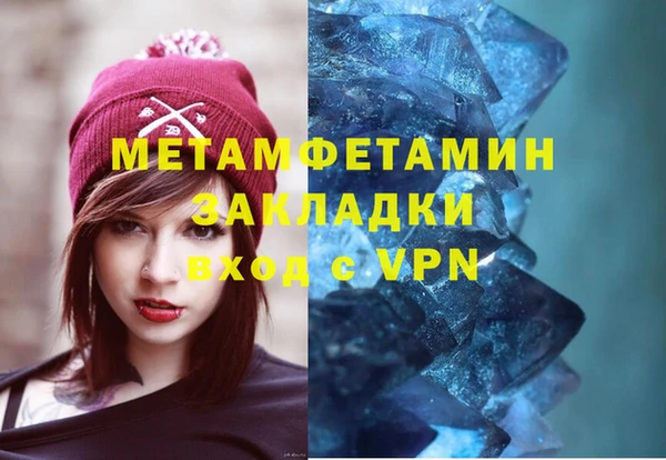шишки Белокуриха